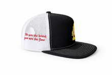 Load image into Gallery viewer, Fresh Pine
